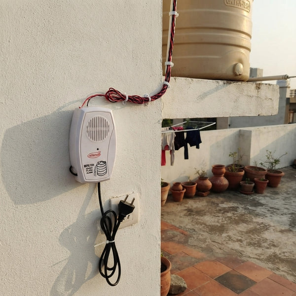 Priya Sharma, Bangalore review photo